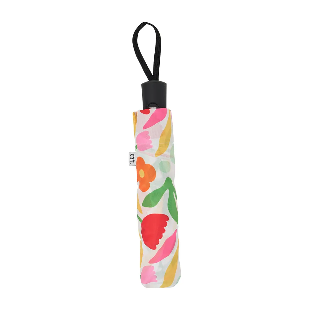 Compact Umbrella - Counter Pack of 12