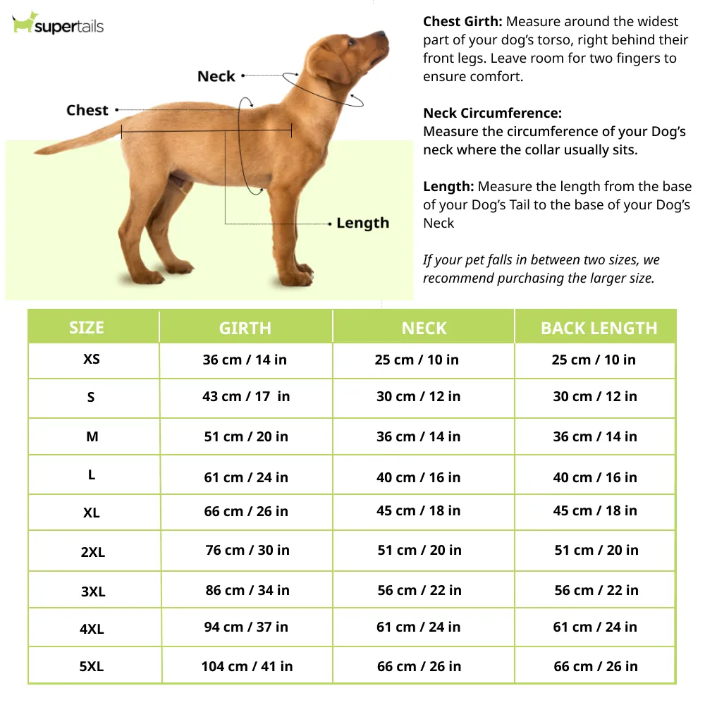 Woofiezz Statement Shirt for Dogs and Cats (Blue Gold)